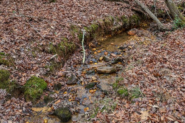 00 Timberland Drive, Ellijay, GA 30540