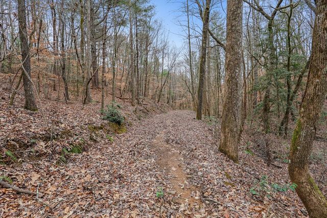 00 Timberland Drive, Ellijay, GA 30540