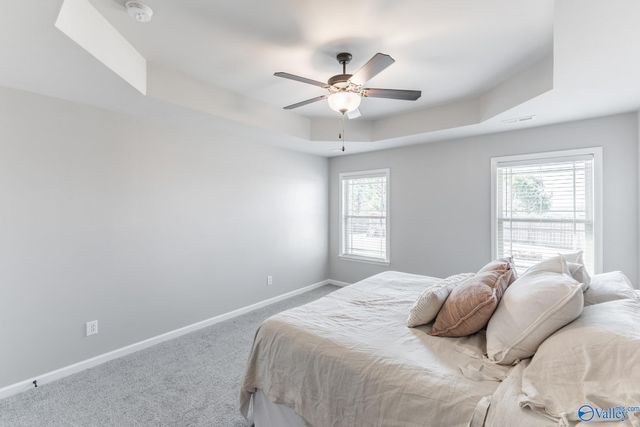 225 Maggie Mance Lane, Harvest, AL 35749