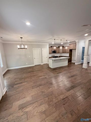 228 Steakley Road, New Market, AL 35761