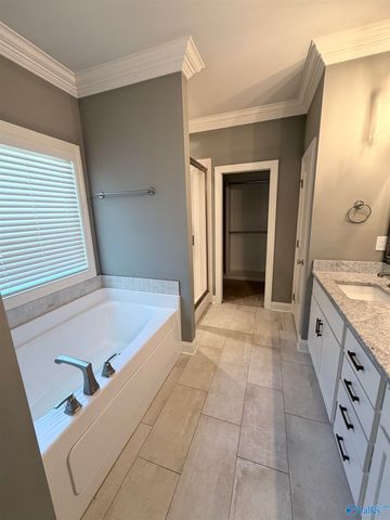 228 Steakley Road, New Market, AL 35761
