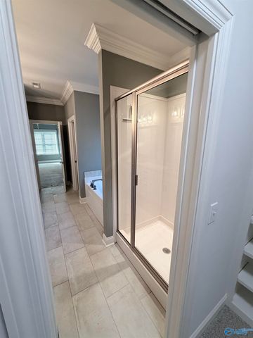 228 Steakley Road, New Market, AL 35761