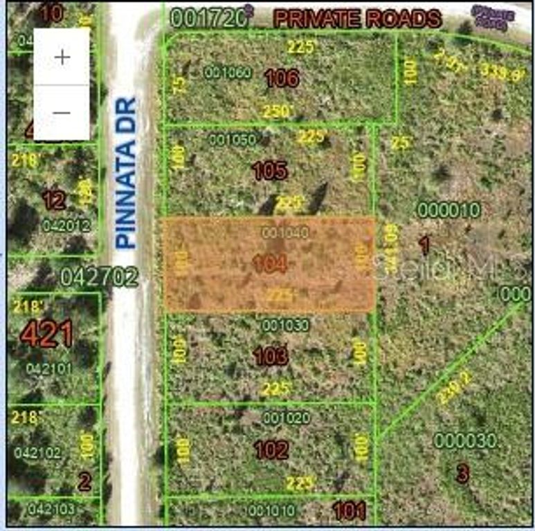 0 PINNATA, Indian Lake Estates, FL 33855