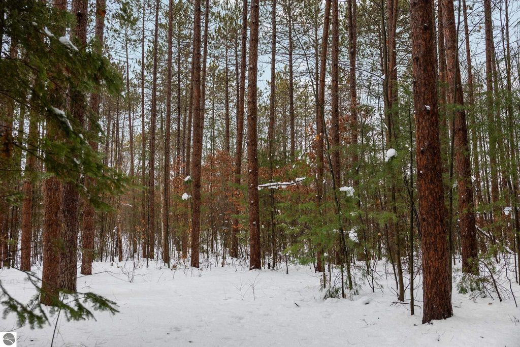 Image 10 of property listing at 10105 Coster Road, Fife Lake, MI 49633