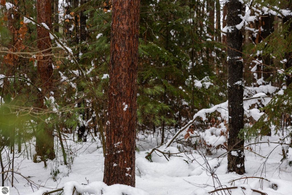 Image 11 of property listing at 10105 Coster Road, Fife Lake, MI 49633