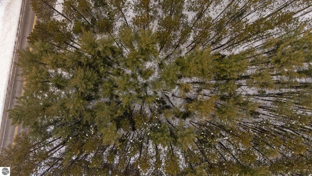 Image 17 of property listing at 10105 Coster Road, Fife Lake, MI 49633