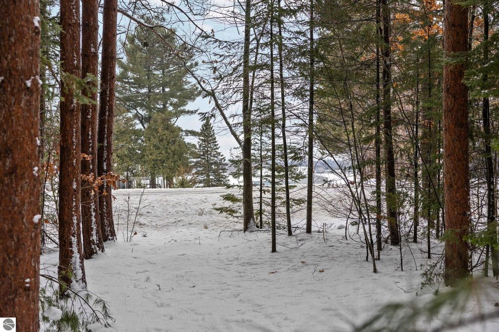 Image 2 of property listing at 10105 Coster Road, Fife Lake, MI 49633