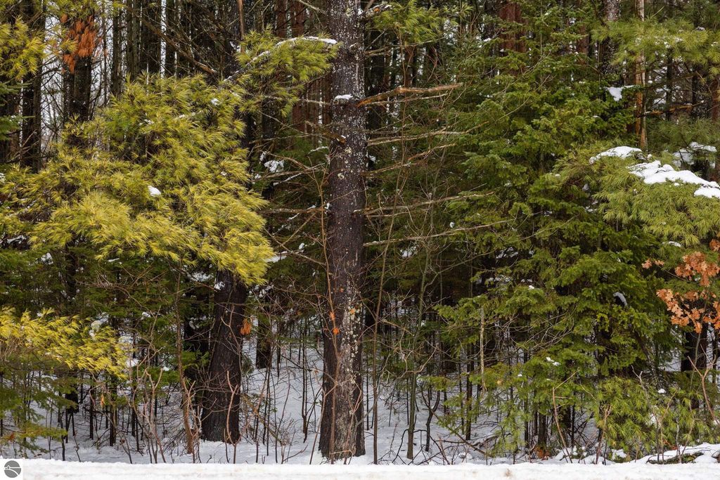 Image 5 of property listing at 10105 Coster Road, Fife Lake, MI 49633