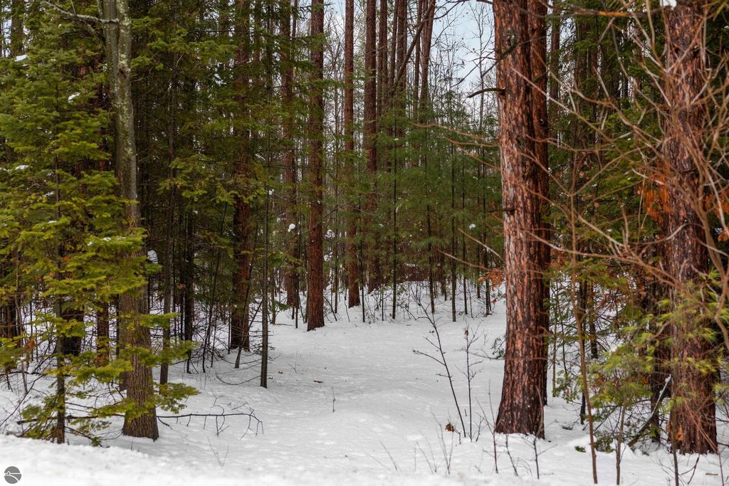 Image 7 of property listing at 10105 Coster Road, Fife Lake, MI 49633