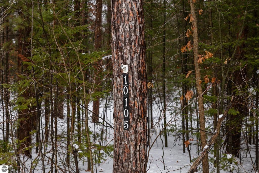 Image 8 of property listing at 10105 Coster Road, Fife Lake, MI 49633