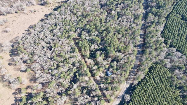 000 Fm 2798, Livingston, TX 77351