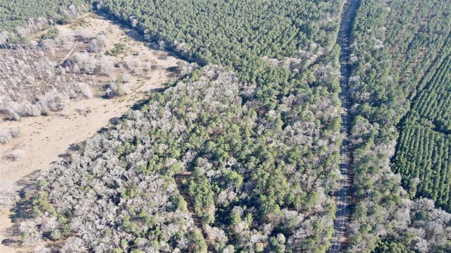 000 Fm 2798, Livingston, TX 77351