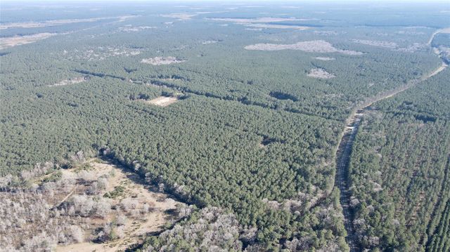 000 Fm 2798, Livingston, TX 77351