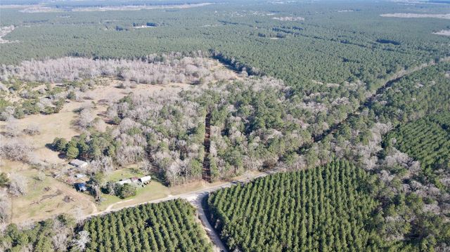 000 Fm 2798, Livingston, TX 77351