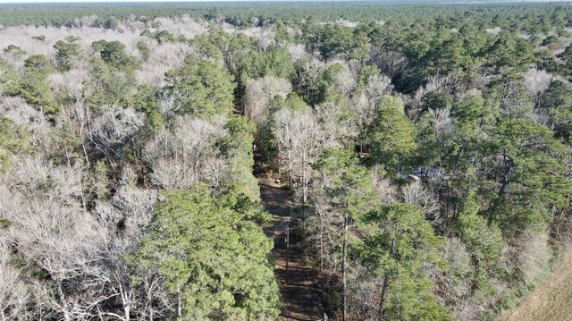 000 Fm 2798, Livingston, TX 77351