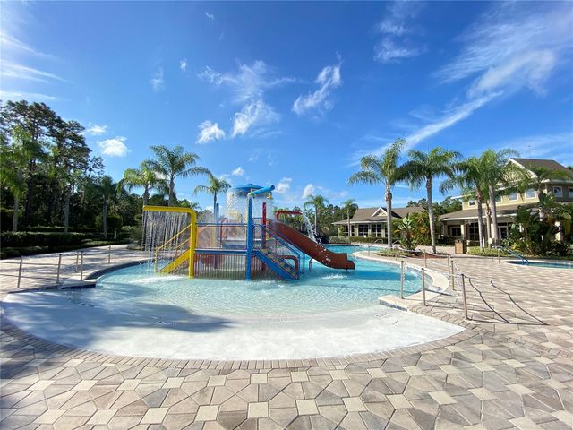 20404 HARVEST OAK COURT, Tampa, FL 33647