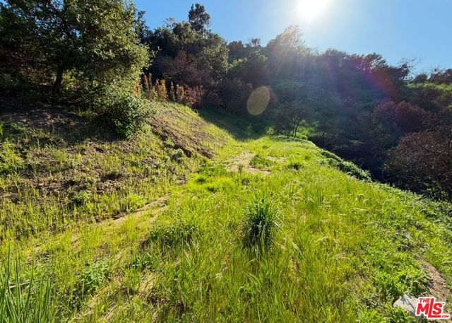 0 Fir Ridge Drive, Topanga (los Angeles), CA 90290