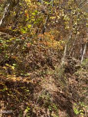 Lot 2 Meadow View Road, Sevierville, TN 37862