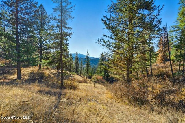 1435 Canyon Ridge Ln, Plummer, ID 83851