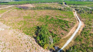 TBD Lady Luck Parcel Id 246461 Lane, Livingston, TX 77351