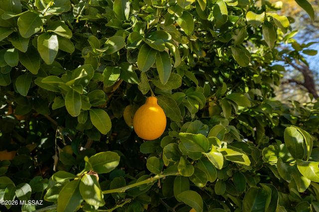 832 E Vault Mine Court, Green Valley, AZ 85614