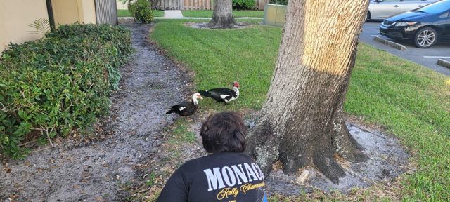 2464 Waterside Drive, Lake Worth, FL 33461