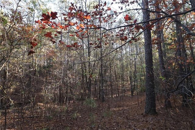 0 RACCOON Trail, Elberton, GA 30635