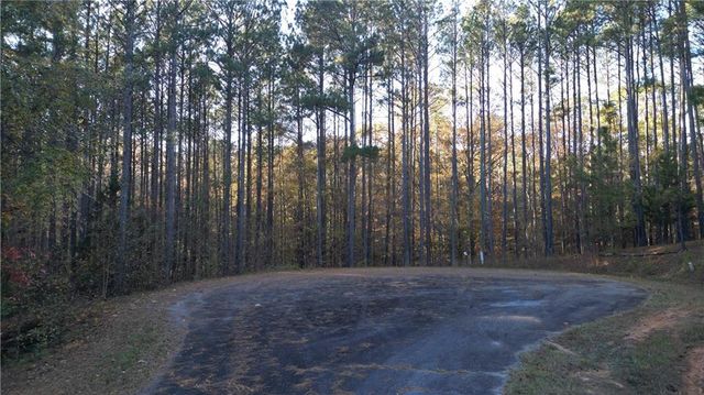 0 RACCOON Trail, Elberton, GA 30635