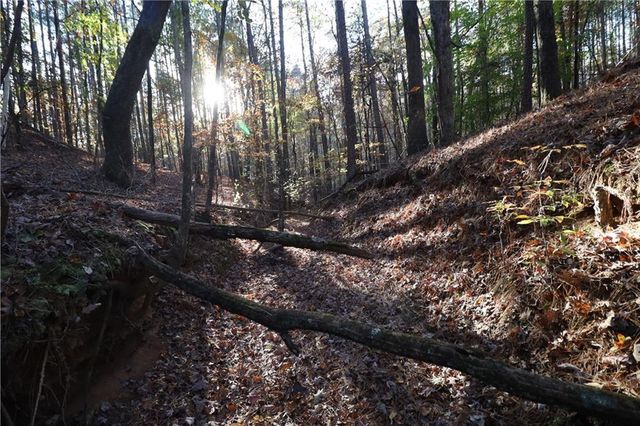 0 RACCOON Trail, Elberton, GA 30635