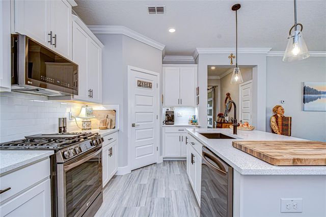 5011 BALLANTRAE BOULEVARD, Land O Lakes, FL 34638