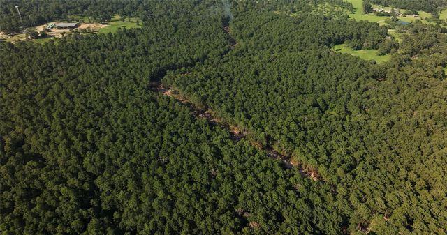 0000 Evergreen Lot 7 Fm 362-2 Road, Waller, TX 77484