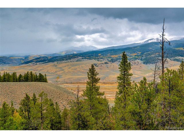 48 Mt Elbert Rd, Twin Lakes, CO 81251