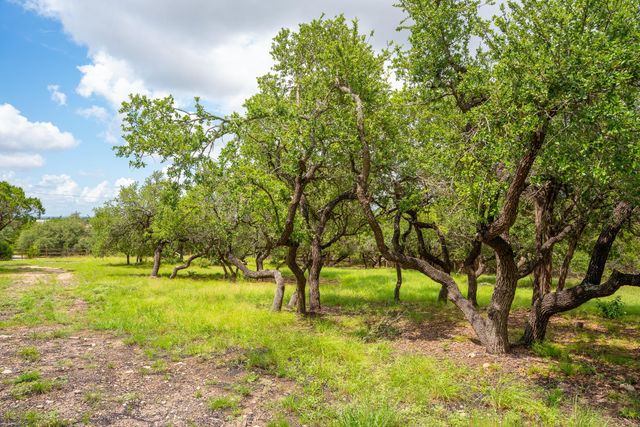 1006 Sundance Ridge DR, Dripping Springs, TX 78620
