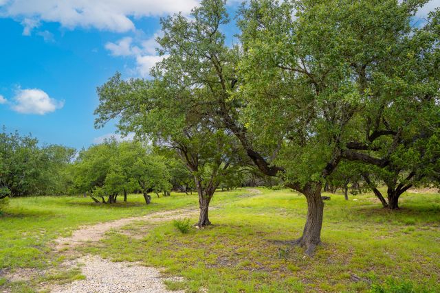 1006 Sundance Ridge DR, Dripping Springs, TX 78620