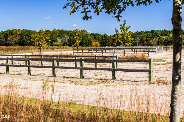 324 Sweetbay Tree Drive, Wendell, NC 27591