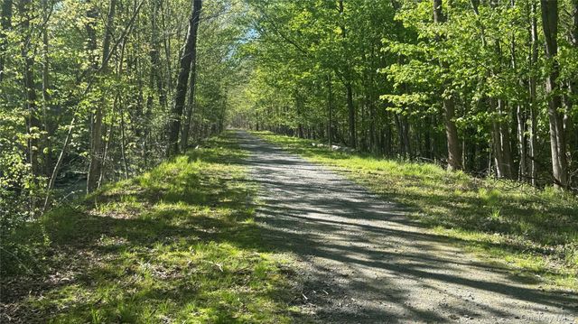 176 Mountaindale Main Street, Mountain Dale, NY 12763