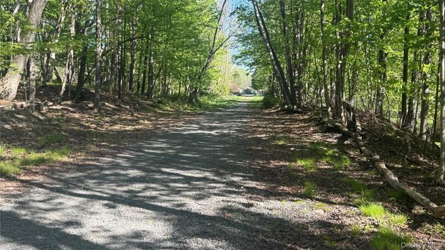 176 Mountaindale Main Street, Mountain Dale, NY 12763