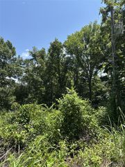 Plat 9 Lot 15, 19 and 22 Deer Run, Van Buren, MO 63965