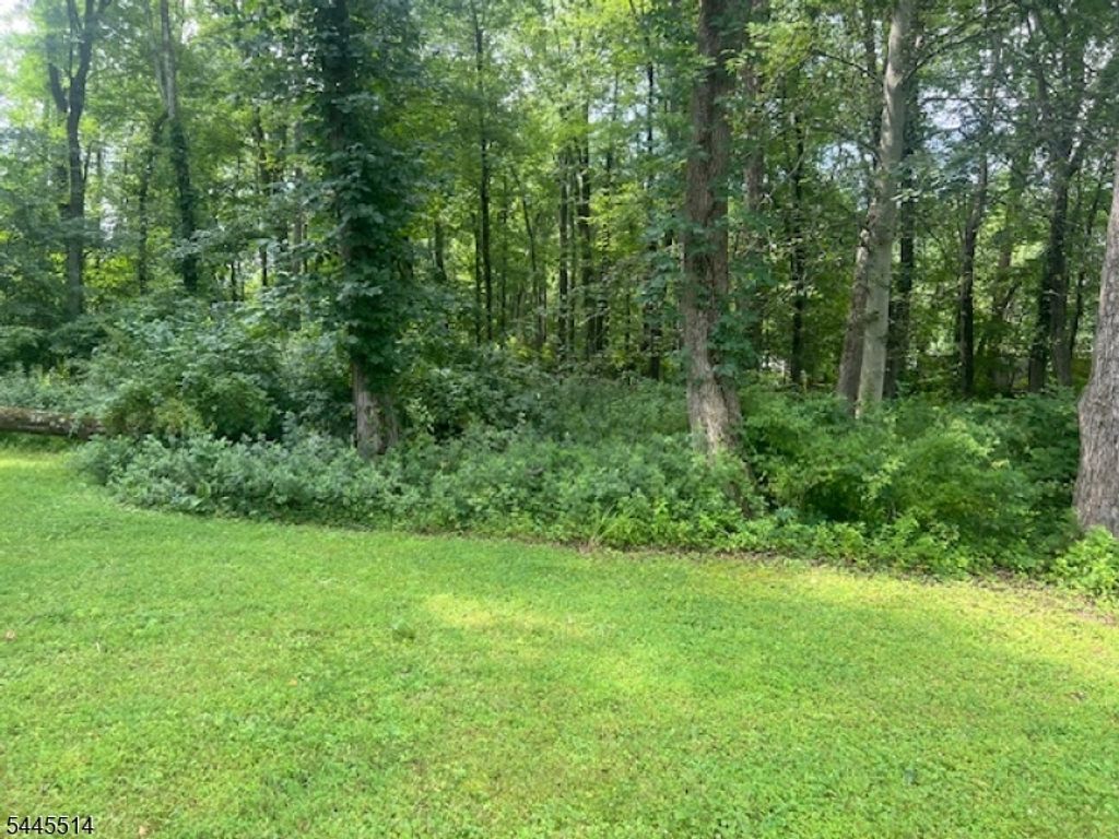 35 Millers Ln, Montville Twp., NJ 07045 — photo 2