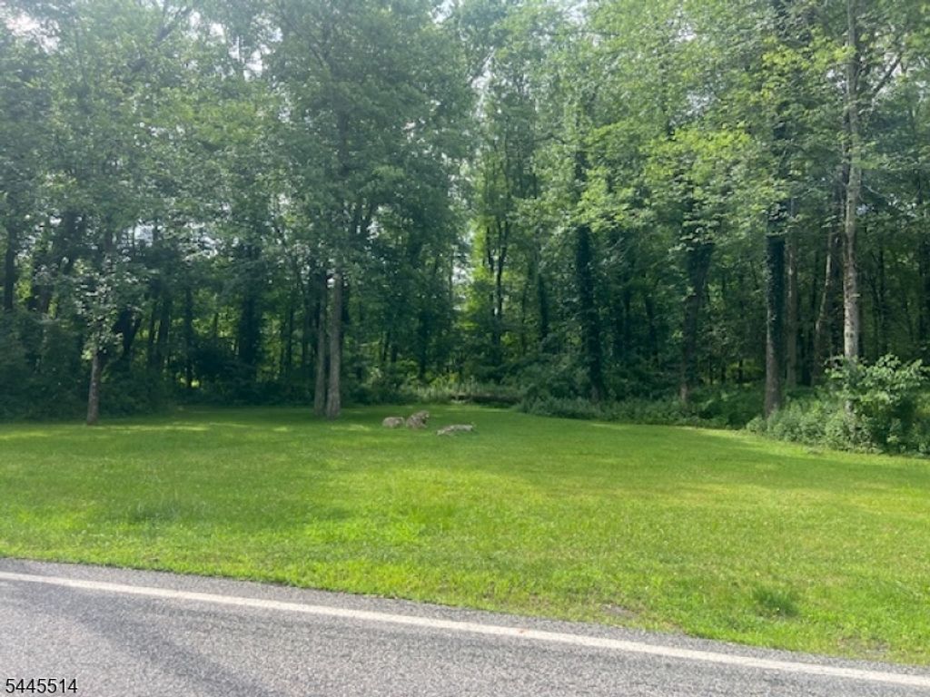 35 Millers Ln, Montville Twp., NJ 07045 — photo 5