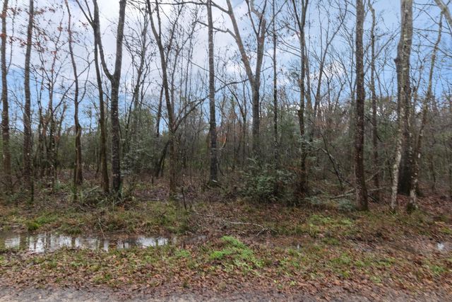 0 Wolfe Creek Road, Shepherd, TX 77371