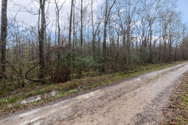 0 Wolfe Creek Road, Shepherd, TX 77371