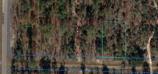 TBD NE 16TH LANE, Williston, FL 32696