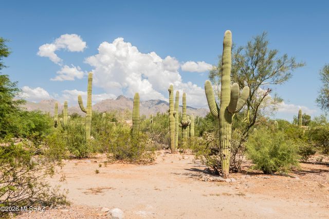 6010 N Canyon Drive, Tucson, AZ 85704