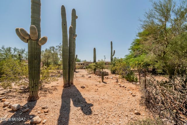 6010 N Canyon Drive, Tucson, AZ 85704