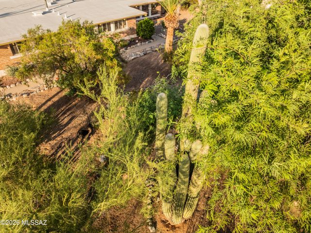 6010 N Canyon Drive, Tucson, AZ 85704