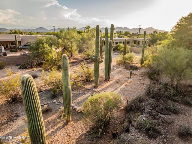 6010 N Canyon Drive, Tucson, AZ 85704