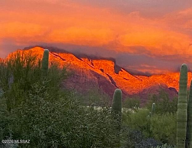 6010 N Canyon Drive, Tucson, AZ 85704