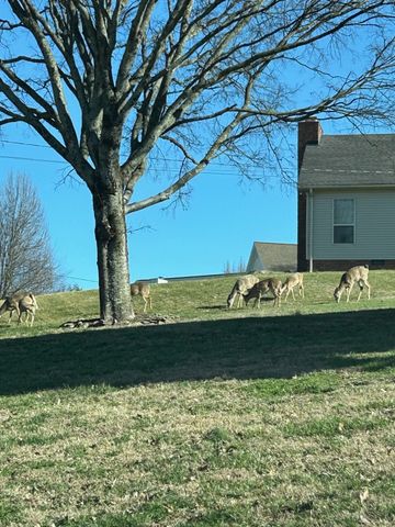 112 Waters Edge Ln, Hendersonville, TN 37075