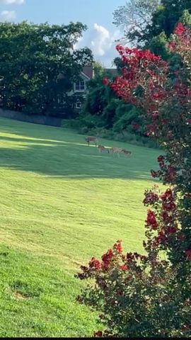 112 Waters Edge Ln, Hendersonville, TN 37075